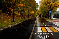 The road in the fall park.