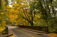 Historic Hwy 30, Columbia River Gorge, Oregon