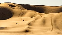 The Dumont Dunes Off -Highway Vehicle (OHV) Area, also referred to as an Open Area, is an exciting and remote area for OHV recreation.