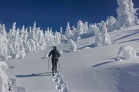 Snowshoeing towards the summit of Maiden Peak on the Willamette National Forest. Photo by Matthew Tharp. Original public domain image from Flickr