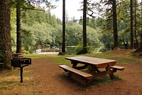 Picnic area at Hebo Lake Campground on the Siuslaw National Forest. Photo by Matthew Tharp. Original public domain image from Flickr
