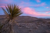 Dusk sky over a desert. Original public domain image from Flickr