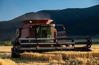 Wheat harvest at P&J Ranches where Producer Steve Burke (black baseball cap) and other landowners use water from the Ruby Reservoir at the base of the Ruby Mountains where water flows along the West Bench Canal, just above the mountain base, above the farmlands; along the way, improved U.S. Department of Agriculture (USDA) funded control valves allow water through debris grates and additional (self-cleaning) rotating cylindrical algae filter screens before entering inlets to funded Irrigation Water Management systems and into the (gravity-flow) Irrigation Pipeline that supplies five center-pivot and one wheel-line Sprinkler System without the use of pumps in Sheridan, MT, on August 28, 2019.