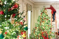 Volunteers Decorate the White House for Christmas 2019Volunteers prepare decorations for the 2019 Christmas season at the White House. (Official White House Photo by Andrea Hanks). Original public domain image from Flickr