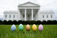 The 2020 White House Easter Eggs, The 2020 White House Easter Eggs are seen Monday, Jan. 27, 2020, at the White House. (Official White House Photo by Andrea Hanks). Original public domain image from Flickr