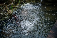 Water dripping into the lake in Akasaka, Tokyo. Free public domain CC0 photo.