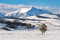 Electric Peak rises above Swan Lake Flat. Original public domain image from Flickr