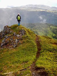 Tongass National Forest. Original public domain image from Flickr