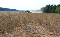 Planting Cotton into a Cover Crop