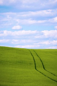 A farmer harvests hay a Carroll County, Md., field May 12, 2020.USDA/FPAC video by Preston Keres. Original public domain image from Flickr