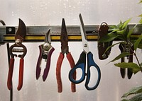 Gardening Shears and Tools. Free public domain CC0 photo.