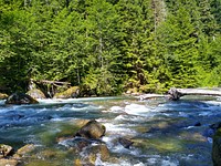 Sauk River Near Bedal Campground, Mt. Baker-Snoqualmie National Forest. Photo taken by Anne Vassar June 23, 2020. Original public domain image from Flickr