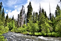 The Little Weiser River on the Payette National Forest, USA. Original public domain image from Flickr