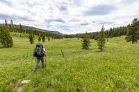 Views of the Coyote Creek headwaters in Absaroaka Beartooth Wilderness by Jacob W. Frank. Original public domain image from Flickr