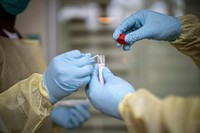 U.S. Sailors assigned to Fleet Surgical Team Three, Expeditionary Strike Group Three, hold a COVID-19 test swab while conducting COVID-19 testing in San Diego, California, June 22, 2020.