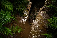 190610-N-TH560-0155 CAMP GONSALVES, Okinawa, Japan (June 10, 2019) Hospital Corpsmen trek through the jungle during a Jungle Medicine Course at Jungle Warfare Training Center, Okinawa, Japan.