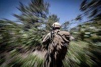 Army soldier walking in the forest. Original public domain image from Flickr