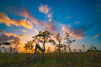 Cypress Tree Sunrise (2020 Photo Contest)