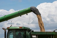 The rice harvest at 3S Ranch, near El Campo, Texas, on July 24, 2020.