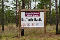 Box turtle habitat and surrounding forested hiking trail at the Poarch Band of Creek Indians (PBCI) Magnolia Branch Wildlife Reserve (MBWR), near Atmore, in rural Escambia County, Alabama, on Sunday, April 6, 2014.