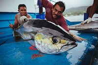 Fishermen with a catch. Nelayan dengan ikan segar yang baru ditangkapnya Laut yang sehat berikan kesejahteraan kepada masyarakat. Photo by Tommy Schultz for USAID. Original public domain image from Flickr