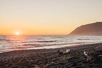 Lost Coast Trail-North 24.6 miles, mostly level The Lost Coast Trail offers one of the few coastal wilderness hiking experiences in the United States.