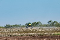 Schirmer Farms (Batesville) Operations Manager Brandon Schirmer, sprays defoliant on one of the fields at his father's multi-crop 1,014-acre farm, in Batesville, TX, on August 12, 2020.