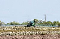 Schirmer Farms (Batesville) Operations Manager Brandon Schirmer, sprays defoliant on one of the fields at his father's multi-crop 1,014-acre farm, in Batesville, TX, on August 12, 2020.