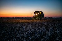 Twilight colors fill the sky, as harvesters turn on their lights and work into the evening, during the Ernie Schirmer Farms cotton harvest which has family, fellow farmers, and workers banding together for the long days of work, in Batesville, TX, on August 23, 2020.