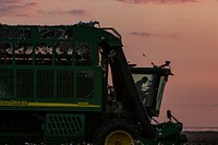 Sunset does not stop the harvest operation; lights come on and GPS will guide the harvester along the rows, during the Ernie Schirmer Farms cotton harvest which has family, fellow farmers, and workers banding together for the long days of work, in Batesville, TX, on August 23, 2020.