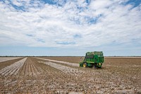 The Schirmer family and fellow farmers band together for the cotton harvest, in Batesville, TX, on August 22, 2020.