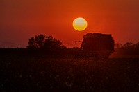 The sunset does not mark the end of a day, the cotton harvesters will work for many more hours into the night, at the Ernie Schirmer Farms, in Batesville, TX, on August 22, 2020.