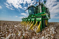 The Schirmer family and fellow farmers band together for the cotton harvest, in Batesville, TX, on August 22, 2020.