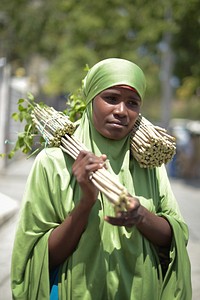 A Somali woman sells traditional toothbrushes at the roadside in Mogadishu, Somalia, on 25 September 2016. AU-UN IST Photo / Tobin Jones. Original public domain image from Flickr