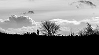 Black and white nature background. Original public domain image from Flickr