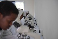 Mogadishu University students from the Faculty of Health in a laboratory session at the university in Somalia. AMISOM Photo / Ilyas Ahmed. Original public domain image from Flickr