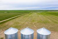 Fauque Farms adopts soil health principles on their 4,500-acre farm. Producers Wendy and Korey Fauque are advocates for crop diversification and intercropping. Toole County, Montana. June 2020. Original public domain image from Flickr