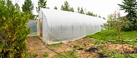 High Tunnel Farming on Fleshman Farm. Installed in May 2020 through financial assistance of NRCS, EQIP (Environmental Quality Incentives Program). Photo taken June 2020 in Teton County, Montana. Original public domain image from Flickr