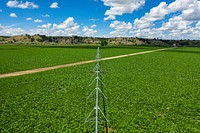 The Kuntz family participated in the Yellowstone Regional Agricultural Sustainability Project, funded under EQIP through RCPP, to transition from flood irrigation to center pivot, begin transitioning to reduced tillage, try cover crops, implement irrigation water management practices, and try precision agriculture.