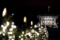 2020 Christmas Tree Lighting