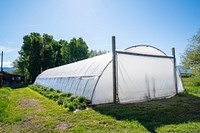 NRCS and the landowner, David Lyons, installed a high tunnel through EQIP assistance. The high tunnel extends the growing season allowing Lyons and his wife to start growing produce earlier and keep growing it later. Just south of Ennis, Madison County, MT. June 2020. Original public domain image from Flickr