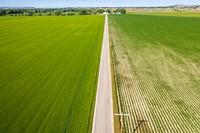 Sugar beets, malt barley and corn grown on the Michael family farm.