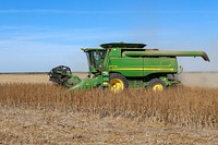 Schirmer Farms owner and operator Ernie Schirmer uses a GPS-based automatic steering system to quickly and efficiently harvest his first sesame crop at Schirmer Farms, in Batesville, TX, on November 4, 2020.