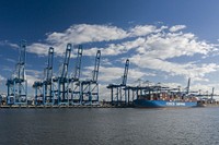 Two container ships docked at the Wando Welch Terminal (WWT) in Mount Pleasant, South Carolina, on November 19, 2020.