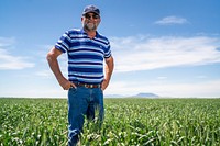 Dave Linker, fourth generation wheat farmer of Linker Farms.