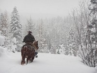 Horseback riding on public lands isn't just a summertime hobby. Near belly deep snow isn't enough to stop this rider from enjoying the snowy landscape on the Tally Lake Ranger District near Ashley Lake, Flathead National Forest, Montana. USDA Original public domain image from Flickr