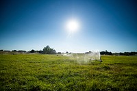 A wheel line irrigation system waters a pasture at the home of Stacey Carlson, a Reclamation employee, in Kuna, Idaho. 7/20/2020 Photo by Kirsten Strough. Original public domain image from Flickr