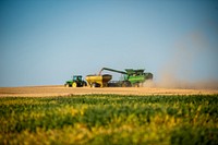 Harvest Ridge Organics harvests wheat on a field near Reservoir A in Lewiston, Idaho.