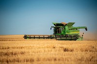 Harvest Ridge Organics harvests wheat on a field near Reservoir A in Lewiston, Idaho.