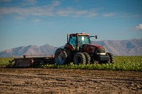 Beet harvest and sorting in Burley, Idaho near S 500 W and W 200 S streets. 10/8/2018 Photo by Kirsten Strough. Original public domain image from Flickr